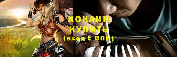 spice Ельня