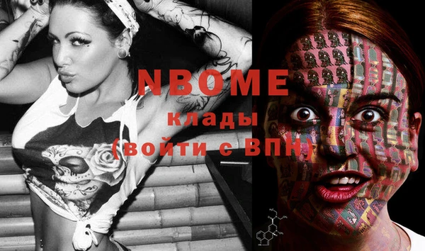 spice Ельня