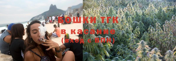 spice Ельня