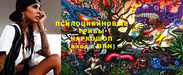spice Ельня