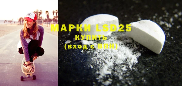 spice Ельня