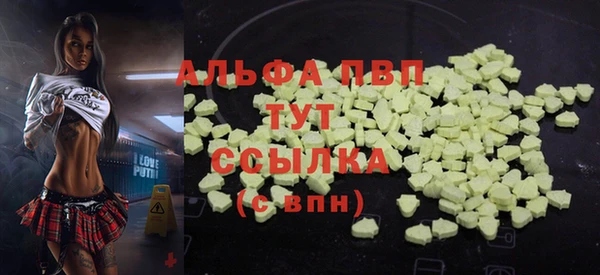spice Ельня