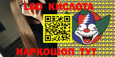 гашик Кингисепп
