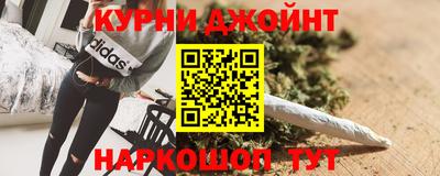 гашик Кингисепп