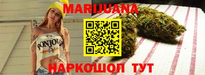 гашик Кингисепп