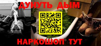 гашик Кингисепп