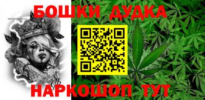гашик Кингисепп
