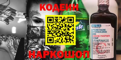 гашик Кингисепп