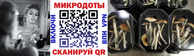 Галлюциногенные грибы мухоморы  Мытищи 
