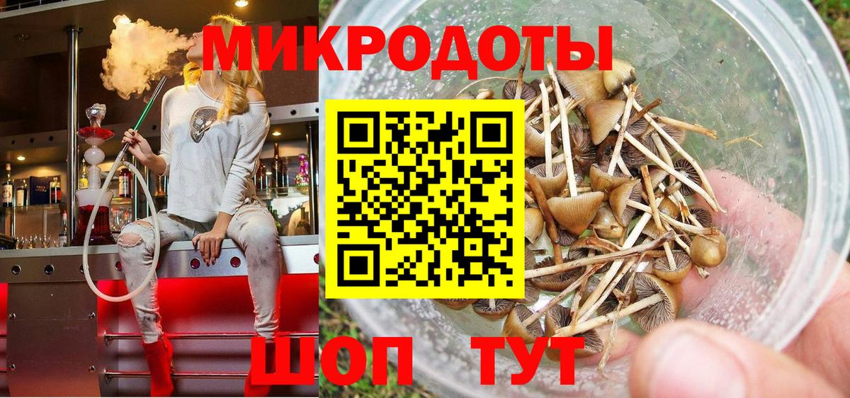 хочу   Псилоцибиновые грибы Psilocybine cubensis  Псилоцибиновые грибы прущие грибы  Вход с VPN  Мытищи 