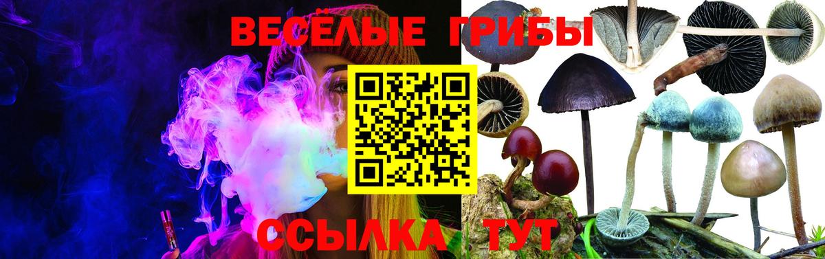 Галлюциногенные грибы ЛСД Мытищи